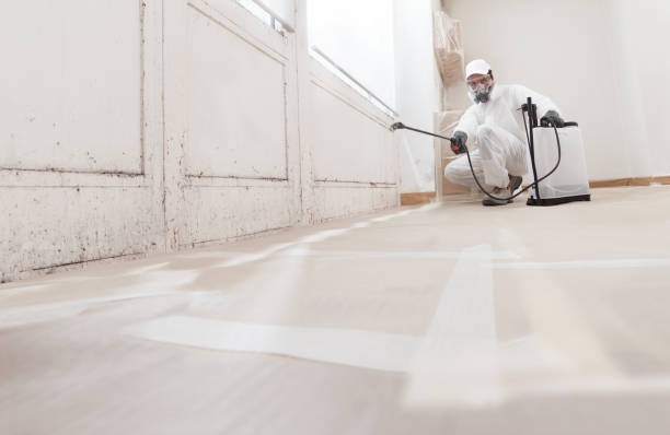 24/7 Emergency Attic Mold Removal experts in Central City, IL